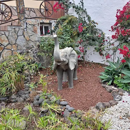 アパート Tenerife 100m2 Casa De Don Quijote With A Terrace Of 100m2 With A View Of The Ocean And Teide Volcano And A Garden Of 600m2