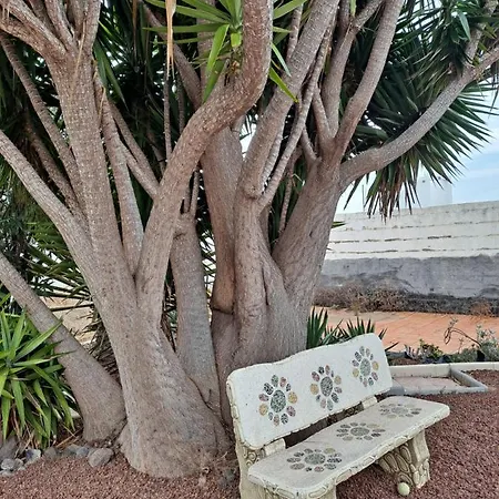 Tenerife 100m2 Casa De Don Quijote With A Terrace Of 100m2 With A View Of The Ocean And Teide Volcano And A Garden Of 600m2 *